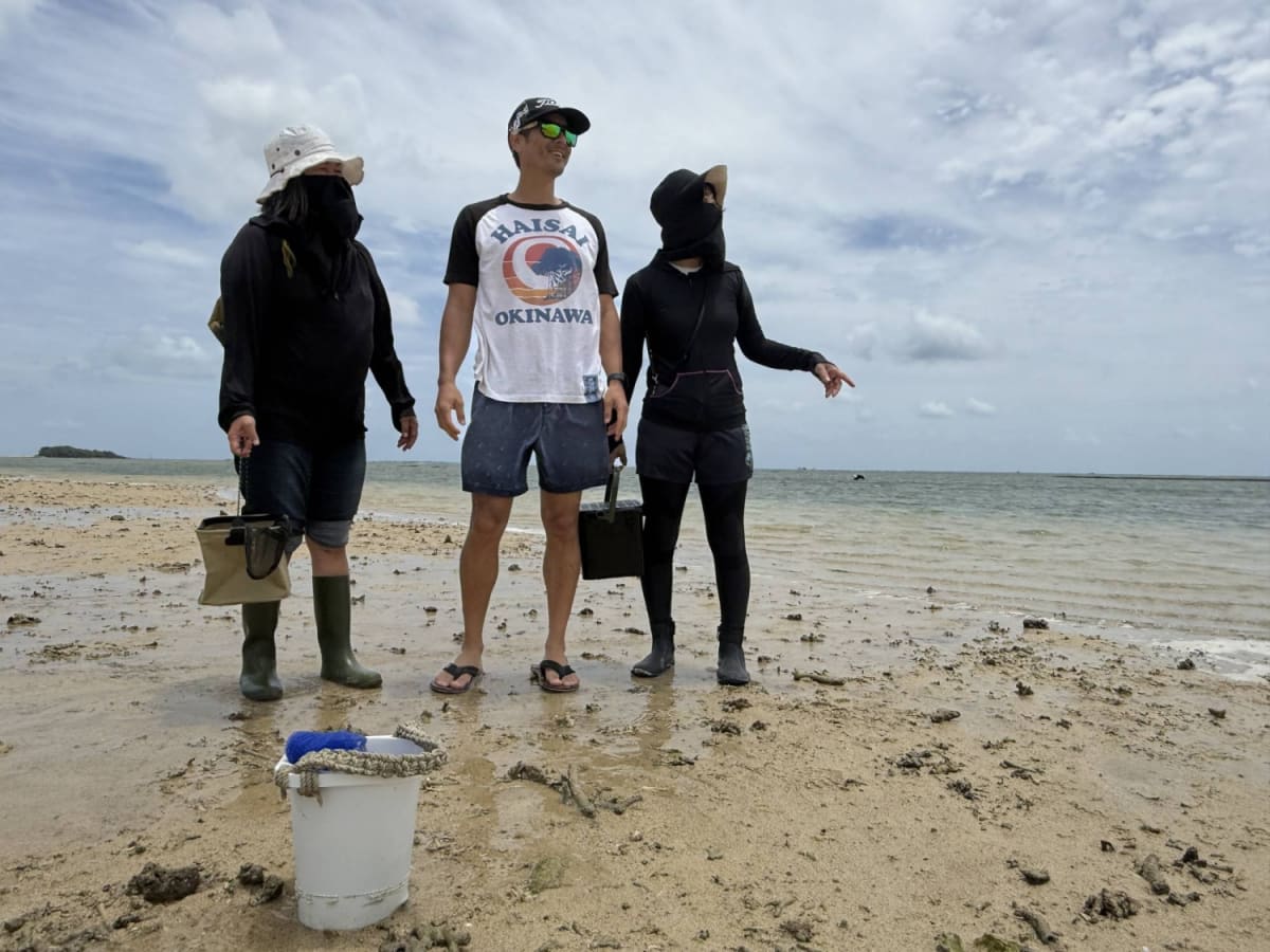 Scientists Race to Save Okinawa's Ancient Seaweed Harvest