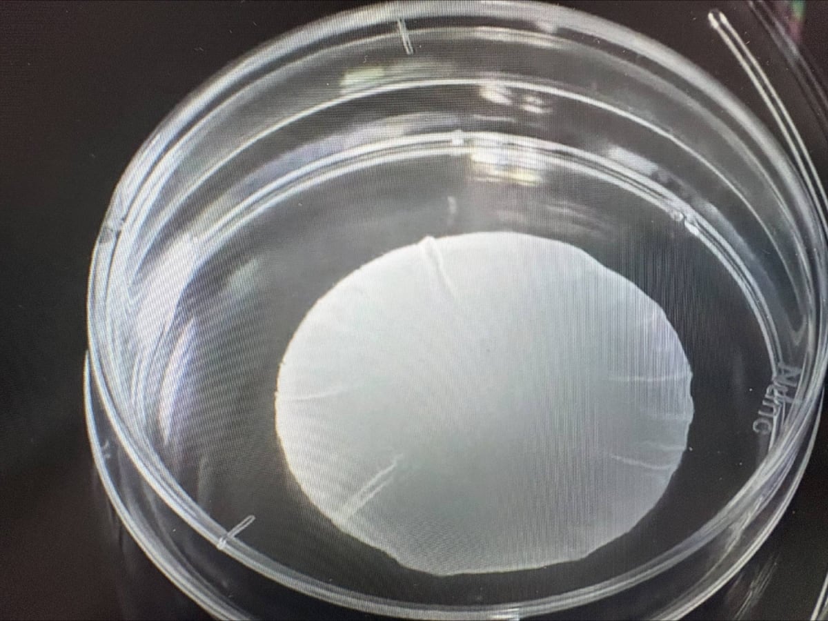 Japan Approves Insurance for Lab-Grown Heart Cell Treatment - Image 3
