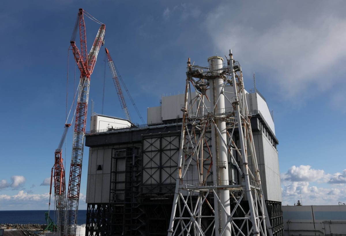 Japan Turns 14M Cubic Meters of Fukushima Soil Into Parks - Image 3
