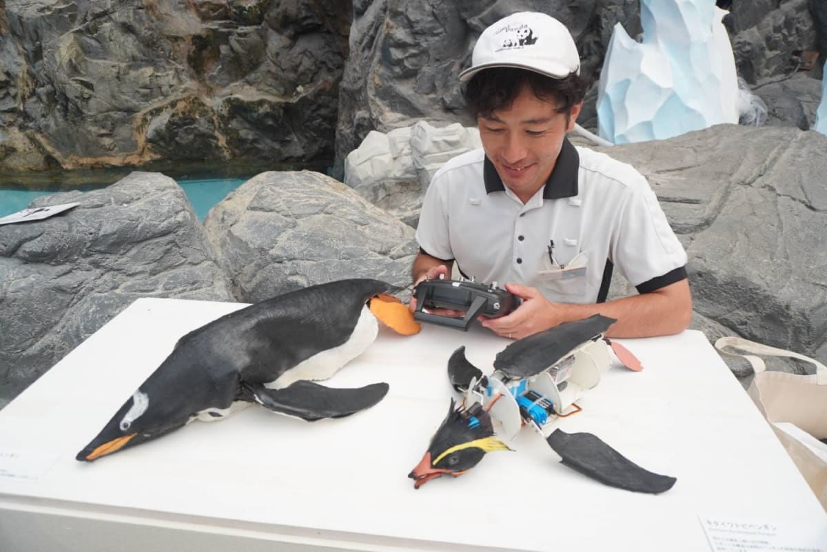 Robot Penguins Swim With Real Birds at Japan Theme Park - Image 4