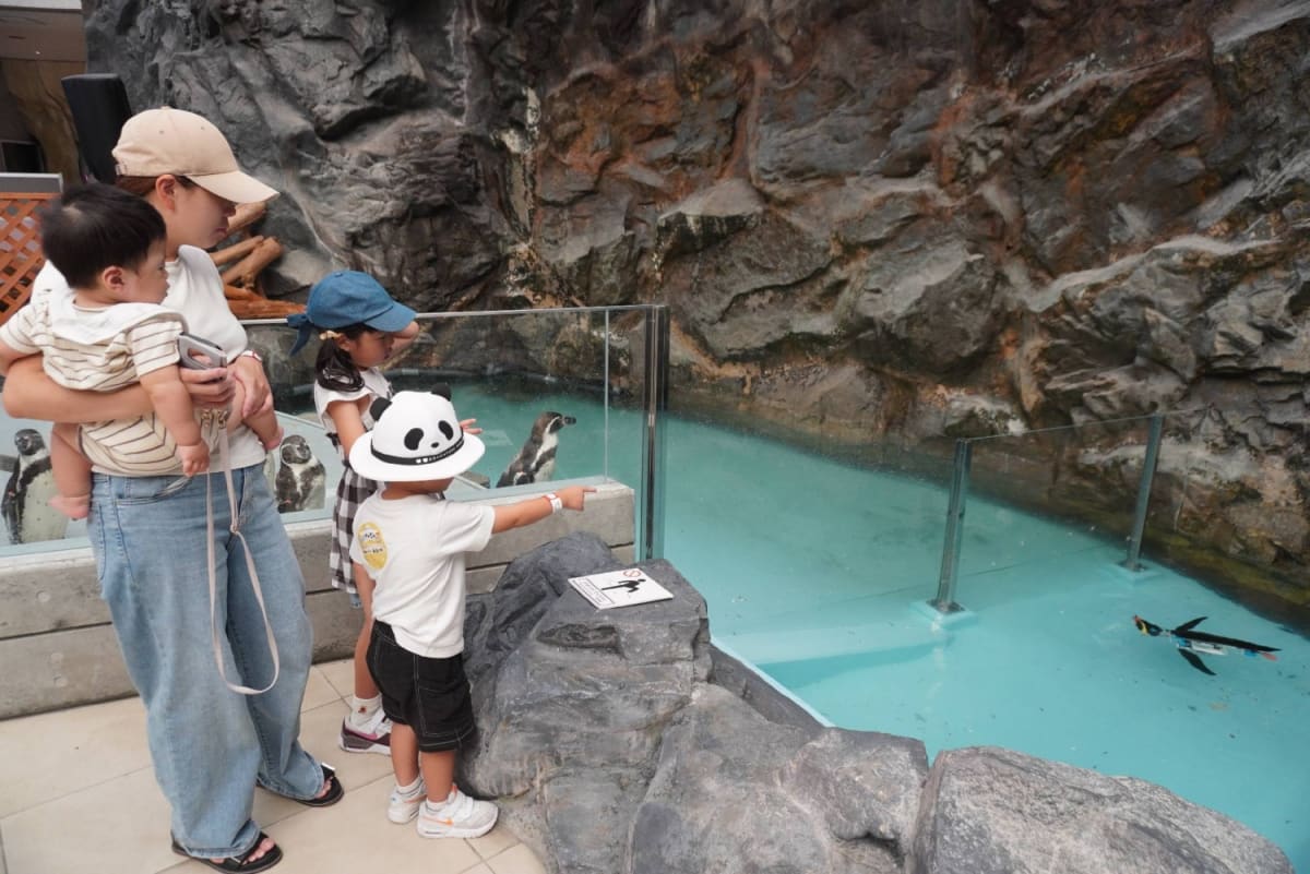 Robot Penguins Swim With Real Birds at Japan Theme Park - Image 5