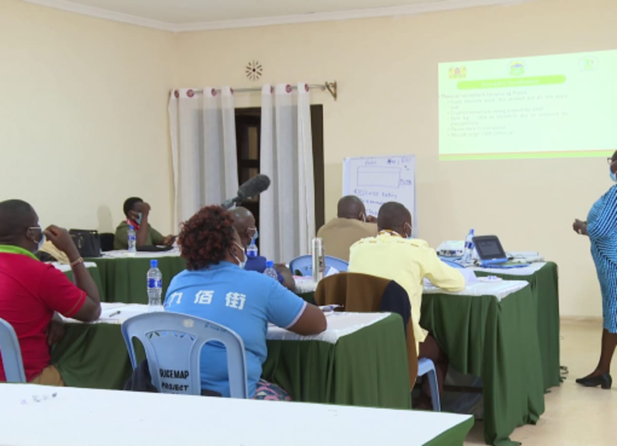 Kenya Plants 10,000 Trees to Restore Key Wildlife Corridor - Image 3