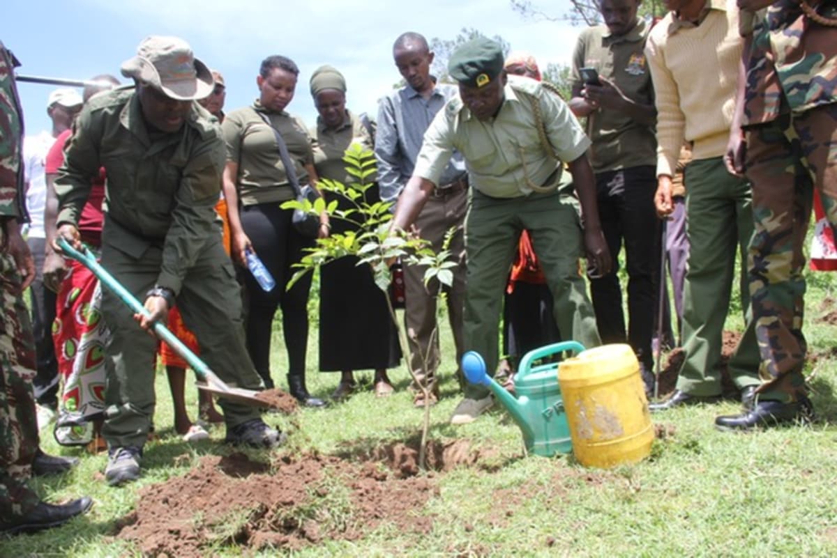 Kenya Plants 10,000 Trees to Restore Key Wildlife Corridor