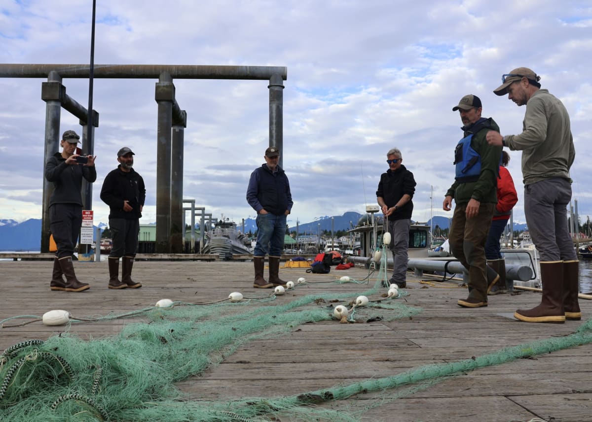 Alaska Volunteers Free 2-Year-Old Humpback From Gillnet - Image 3