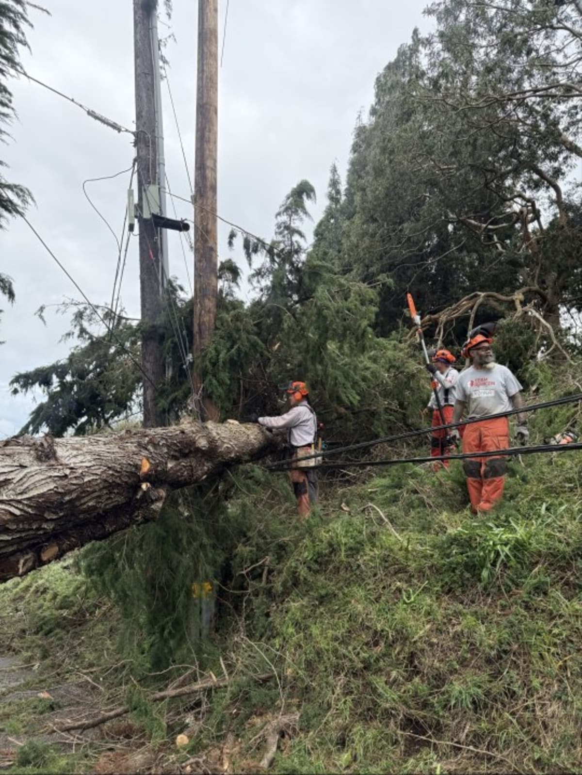 Veterans Clear Routes for 22 Homes After Hawaii Storm - Image 4