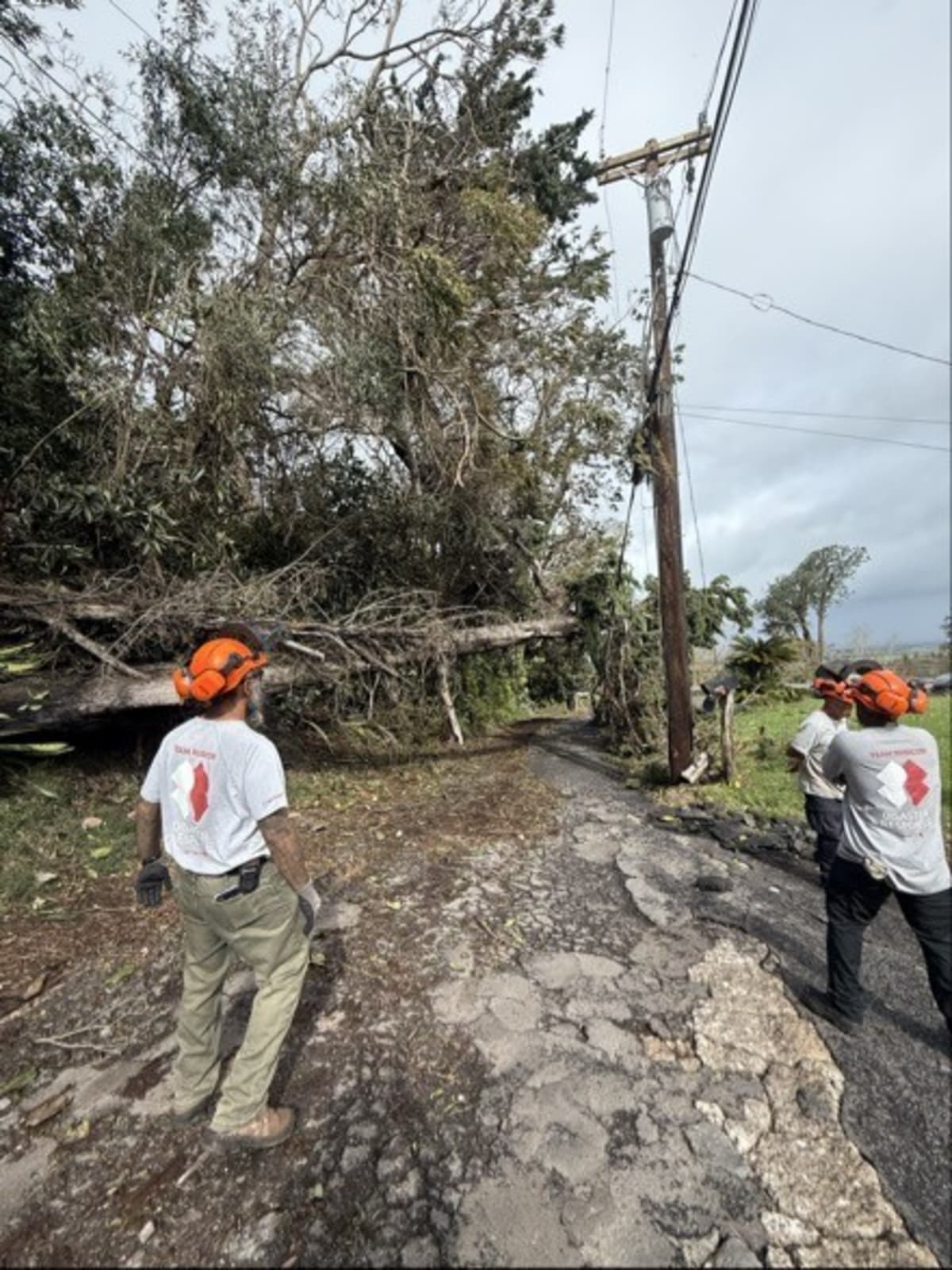 Veterans Clear Routes for 22 Homes After Hawaii Storm - Image 3