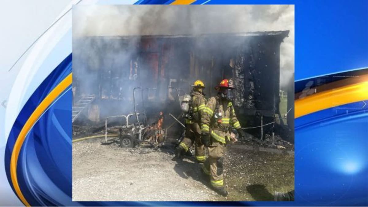 Firefighter Saves Dog From Blaze in Zero Visibility - Image 2