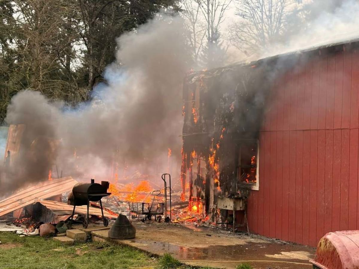 Baby Goats Saved as Firefighters Rescue Castle Rock Animals - Image 4