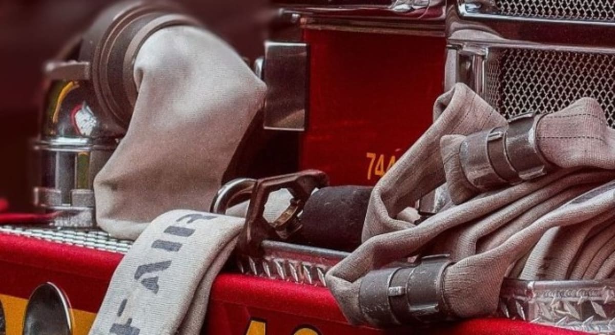 Shreveport Firefighters Save Dog After 10-Minute Rescue - Image 2