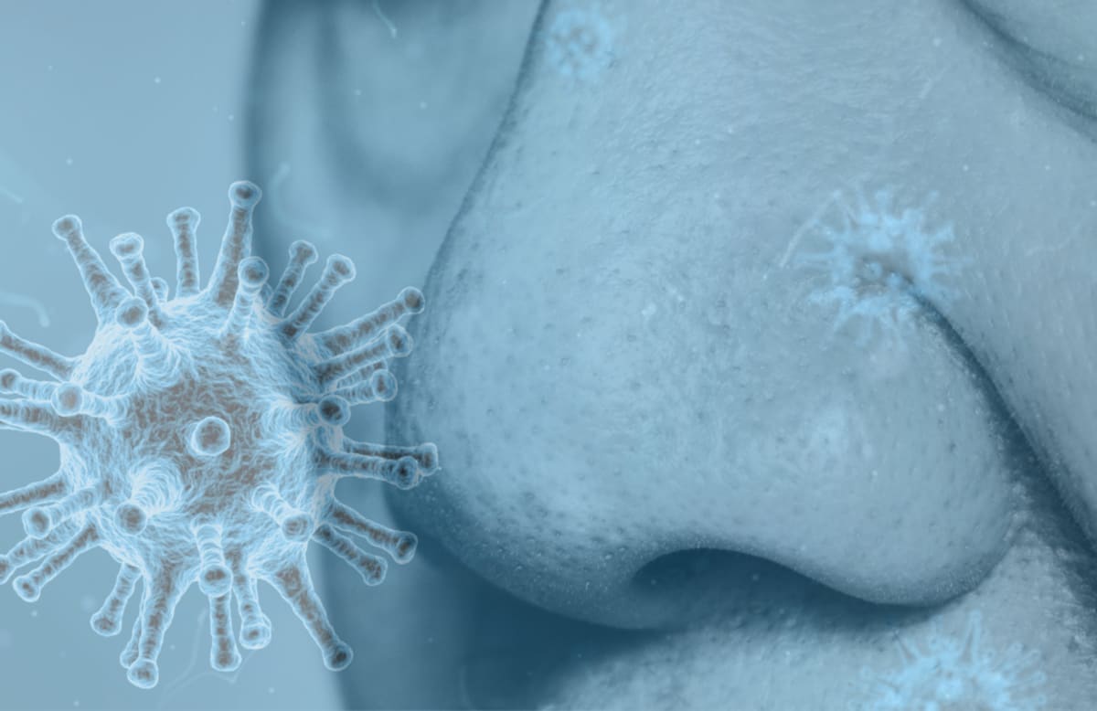 Scientists Create World's First Measles Treatment - Image 4
