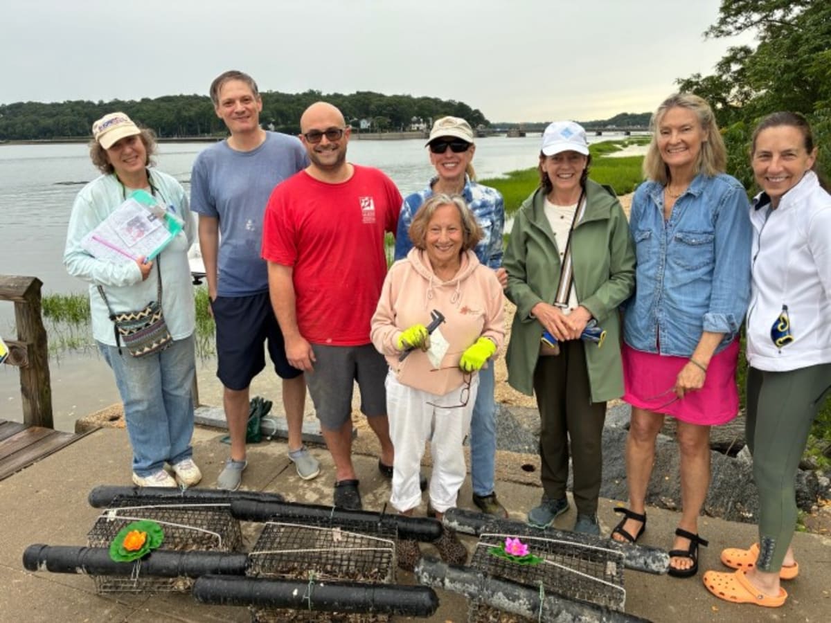 100 Volunteers Help Restore Oyster Bay's Lost Population - Image 4
