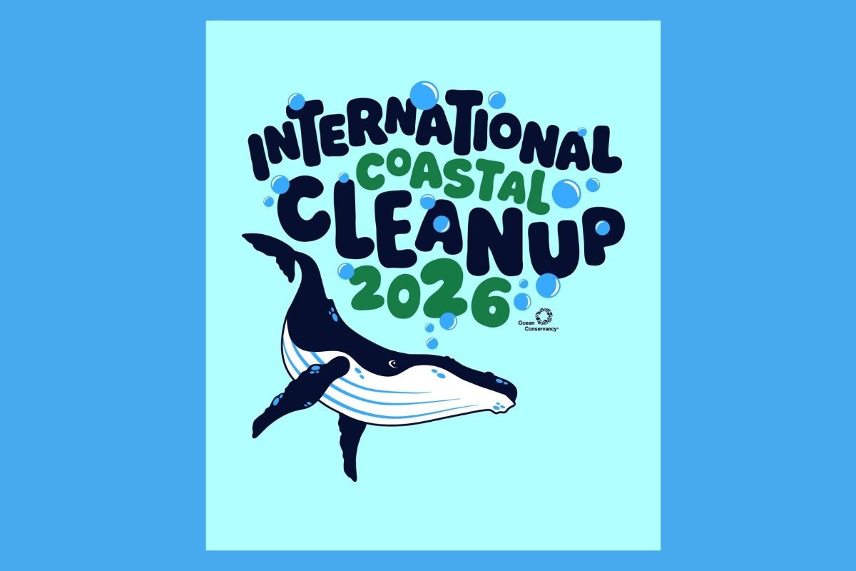 Volunteers collecting trash and debris along Cedar Key's coastal shoreline during community cleanup event