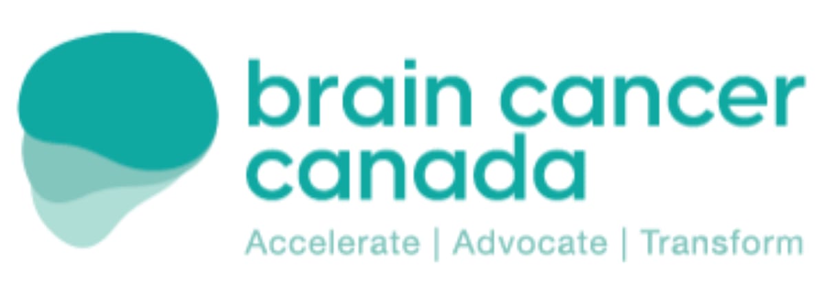Medical researchers examining brain scans and data in modern laboratory setting