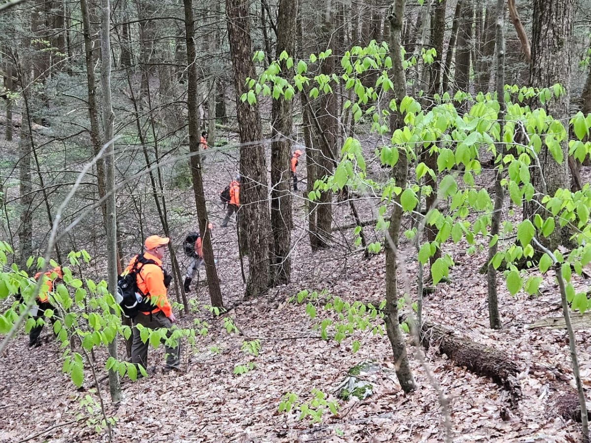 Volunteers Search 100 Acres to Help Find Missing Man - Image 3
