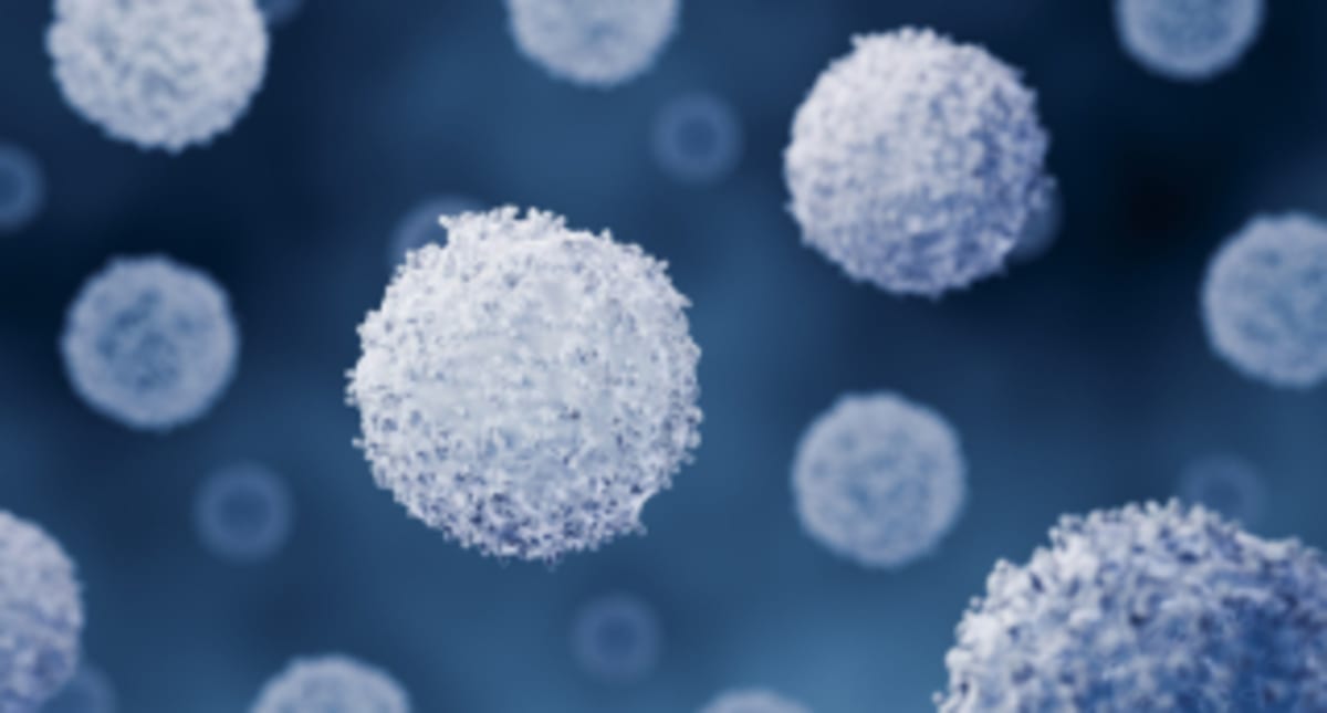 Scientists Find Immune Cells Can 'Feel' Their Surroundings