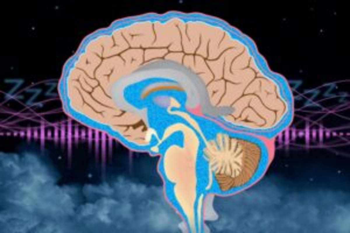 MIT Finds Pink Noise Boosts Brain Cleaning During Sleep - Image 2