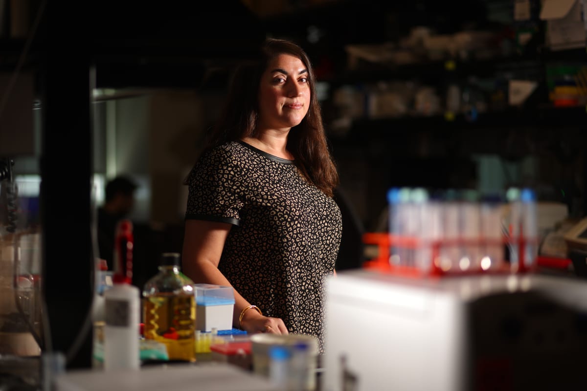 Bay Area AI Predicts Cell Aging to Help Us Live Better - Image 3