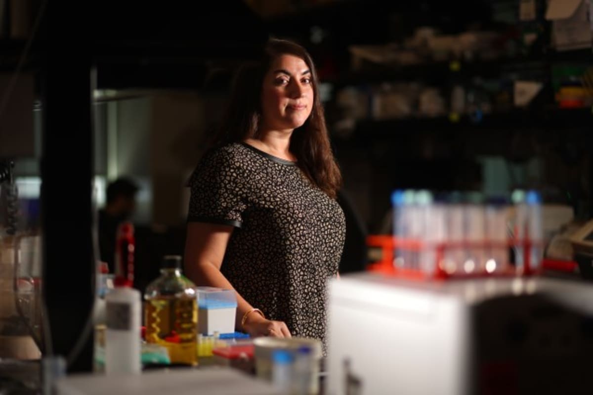 Bay Area AI Predicts Cell Aging to Help Us Live Better - Image 2