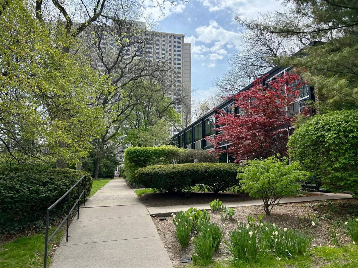 Historic modernist townhomes in Detroit's Lafayette Park designed by Mies van der Rohe
