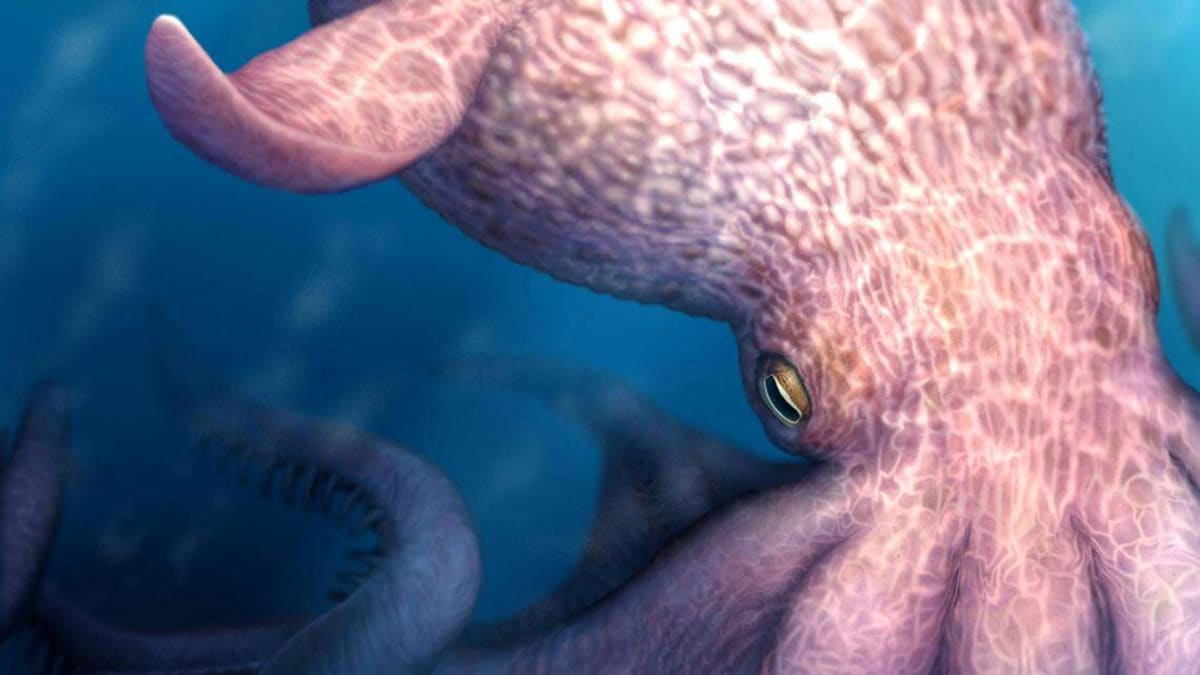 62-Foot Octopus Fossil Reveals Ancient Ocean's Apex Predator