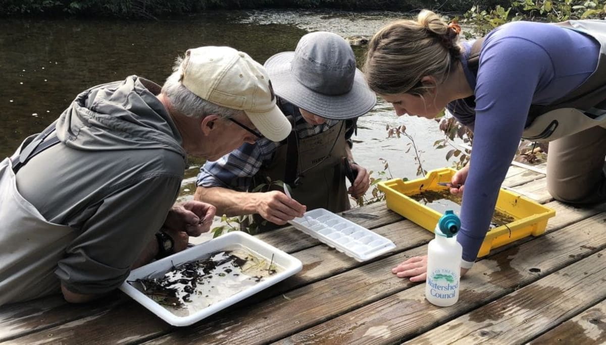 Michigan Volunteers Clean 297 Miles of Waterways Since 2021