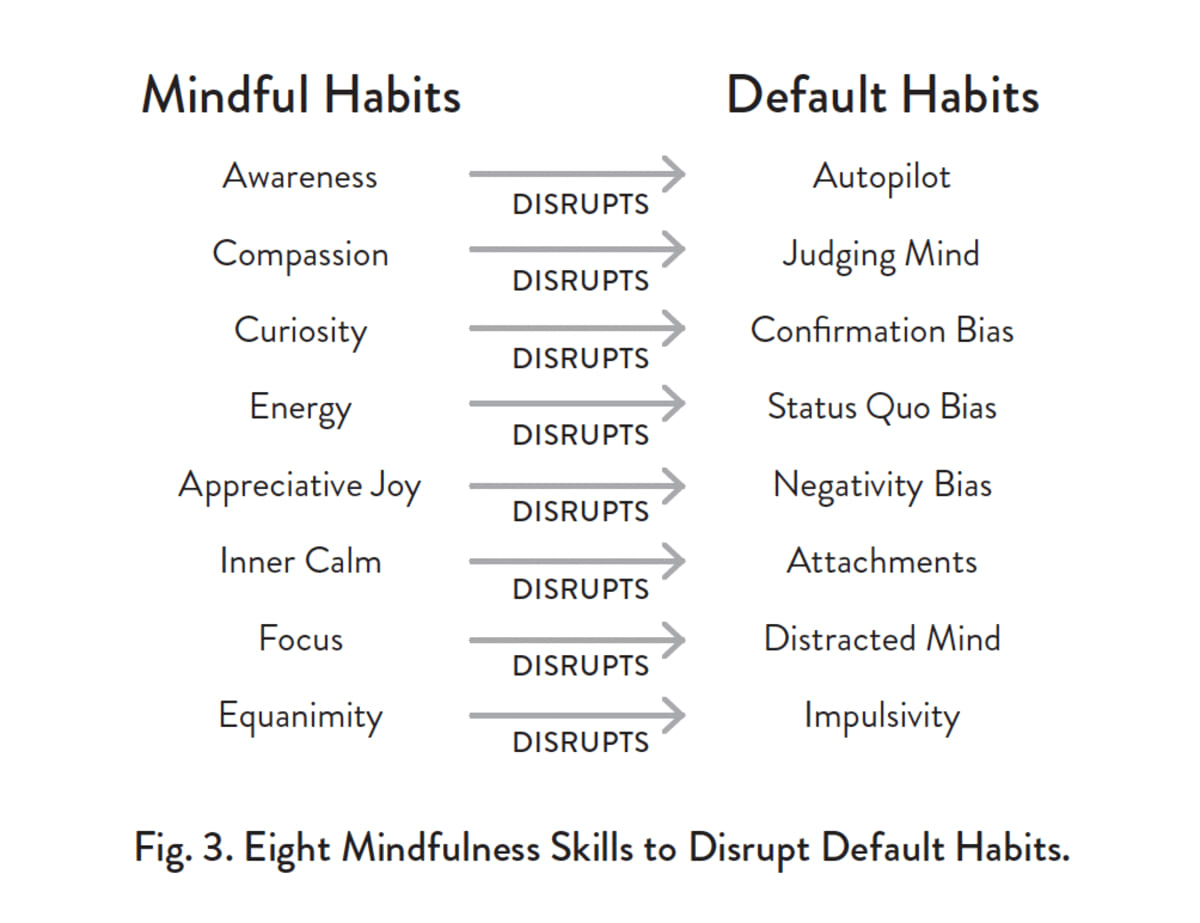 Mindfulness Professor Finds Simple Pause Changes Decisions - Image 2