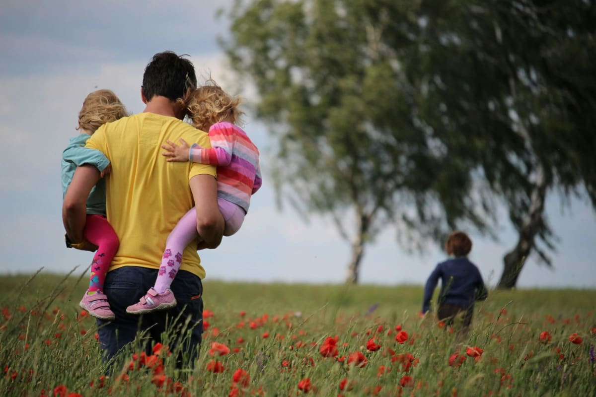 Father and child gardening together, planting seeds in sunny garden bed with tools