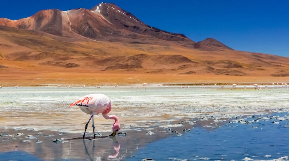 Chile's Atacama Desert Powers Homes After Dark With Solar
