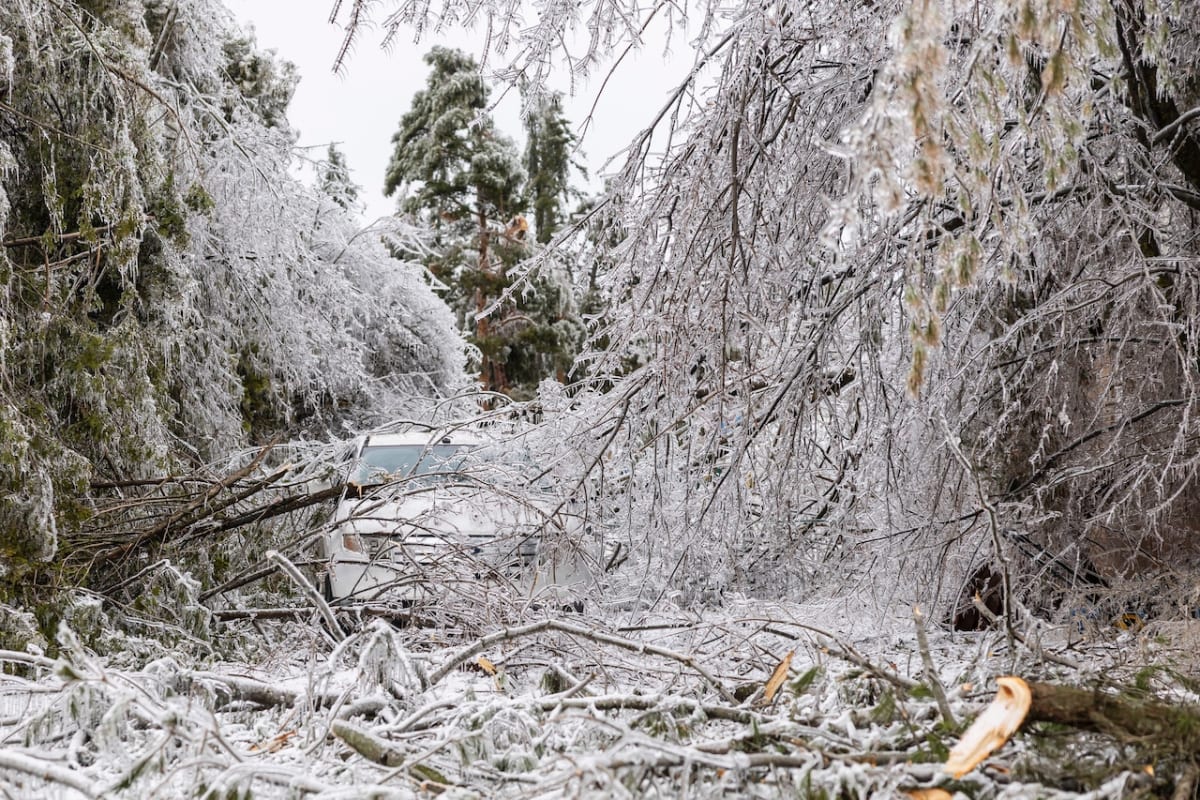 Michigan Rebuilds After Historic Ice Storm Hit 3M Acres - Image 4