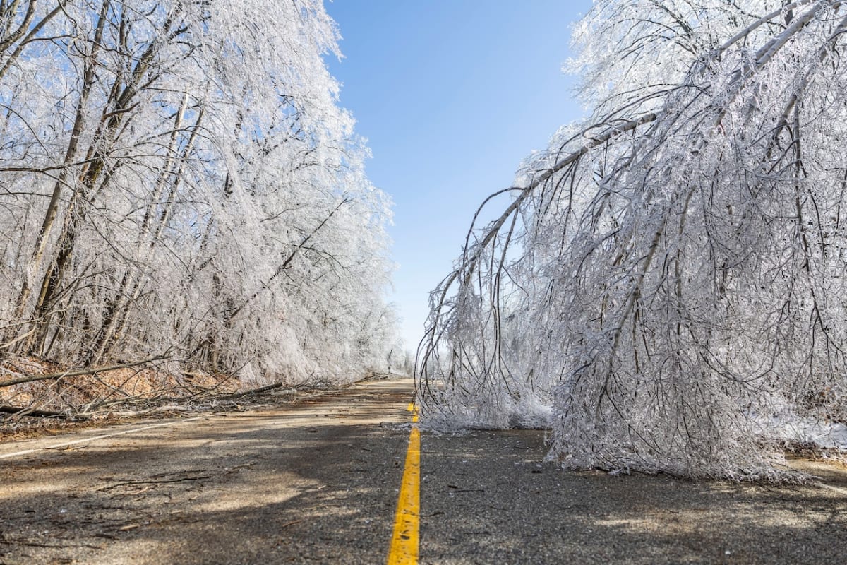 Michigan Rebuilds After Historic Ice Storm Hit 3M Acres - Image 3