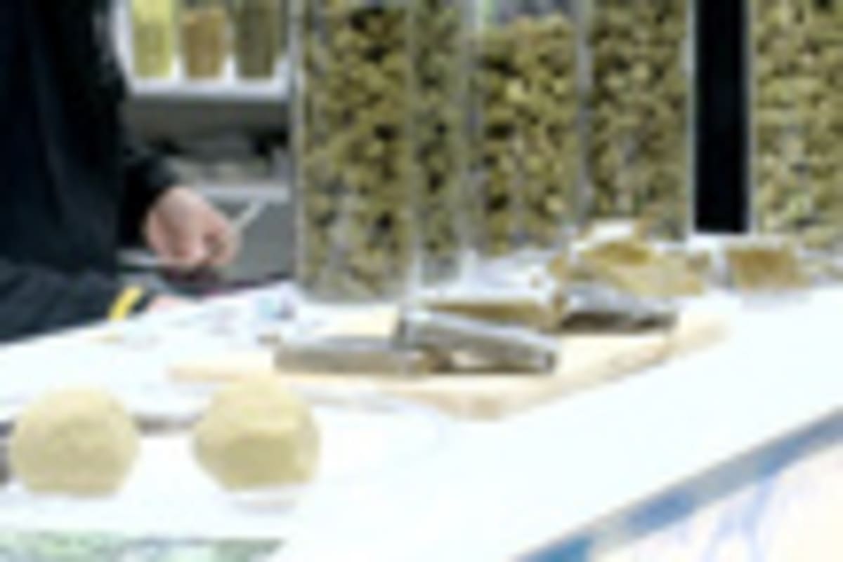 Germany Funds €3.8M Hemp Innovation Center in Mücheln - Image 5