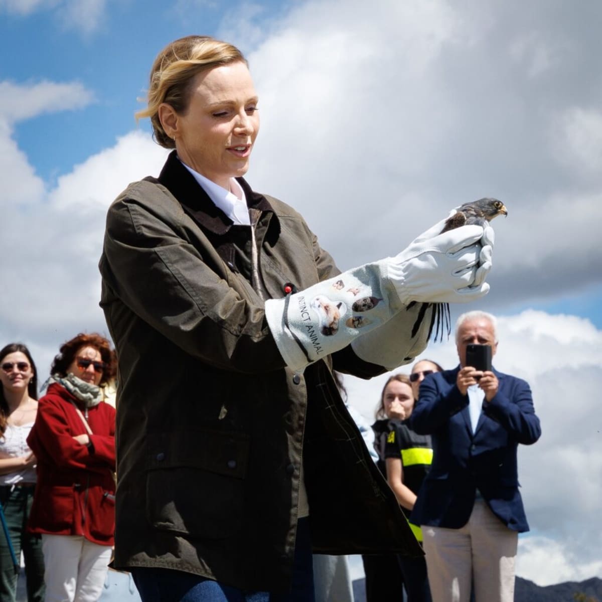 Rare Falcon Flies Free After 8 Months of Recovery - Image 3