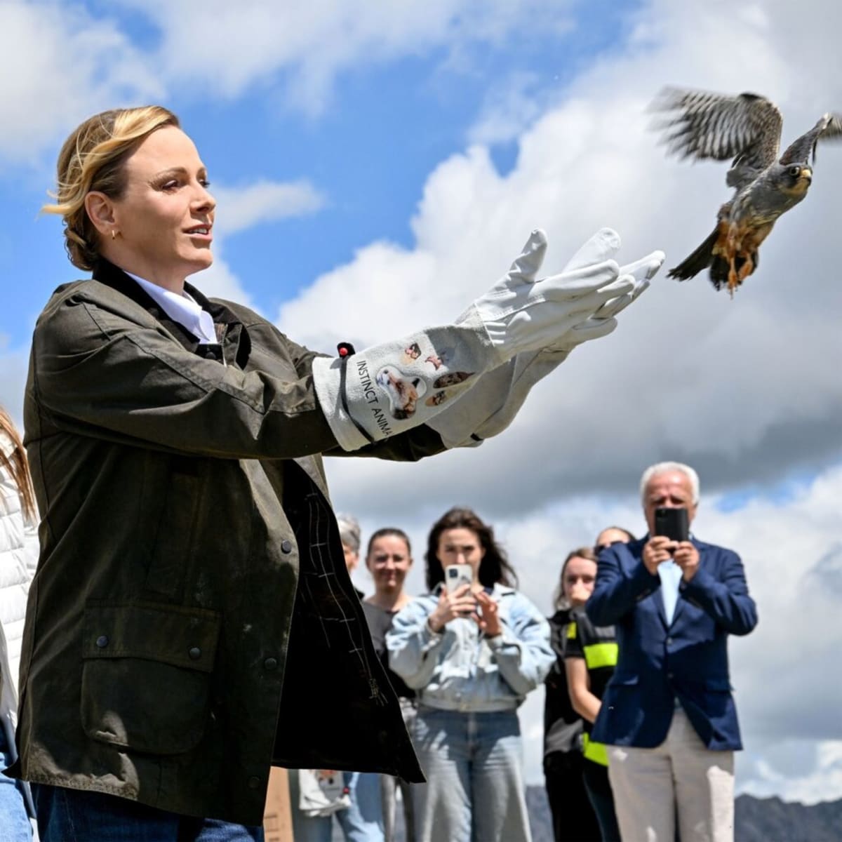 Rare Falcon Flies Free After 8 Months of Recovery - Image 4