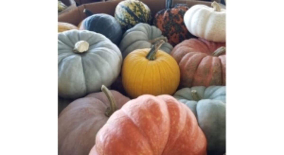 Pennsylvania Fruit Growers Launch $3,000 Scholarship - Image 2