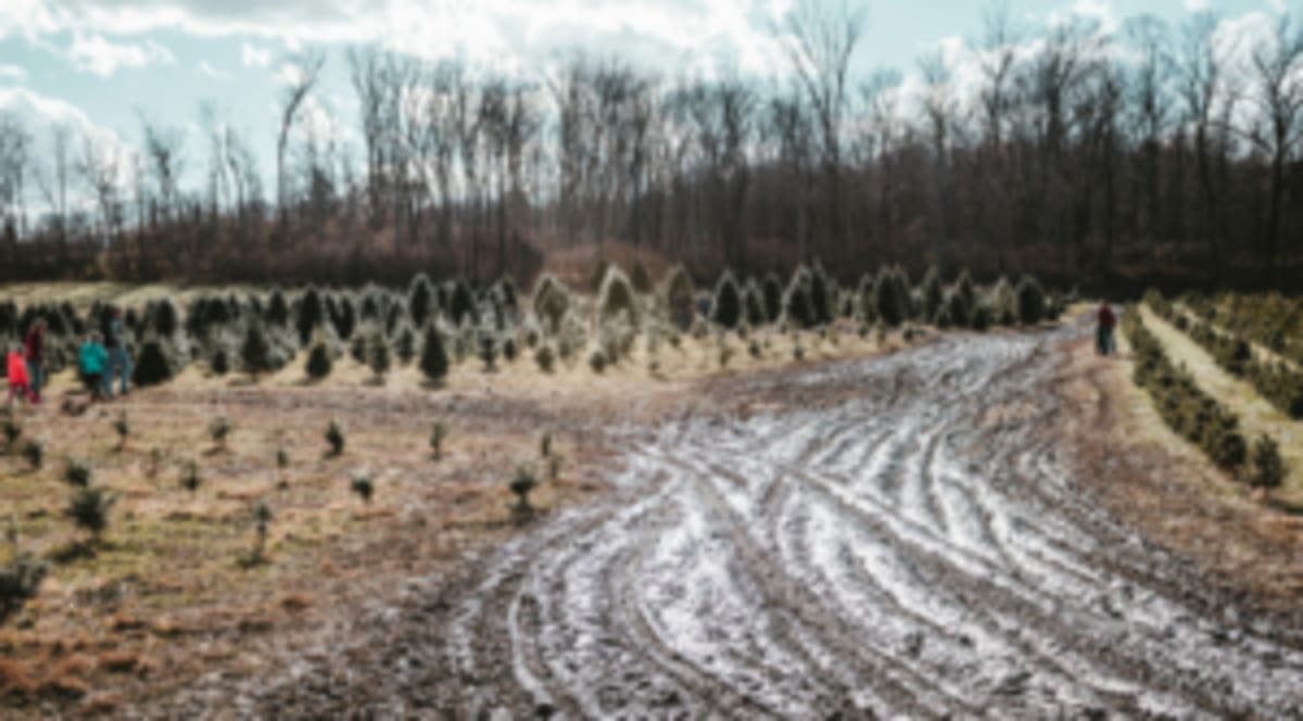 Penn State Debuts Robotics Village to Help Farmers - Image 3