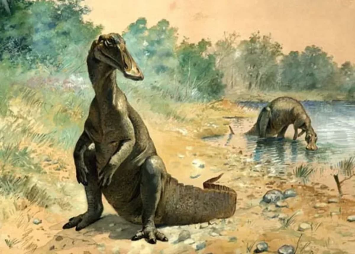 Morocco Uncovers New 100-Million-Year-Old Dinosaur Species