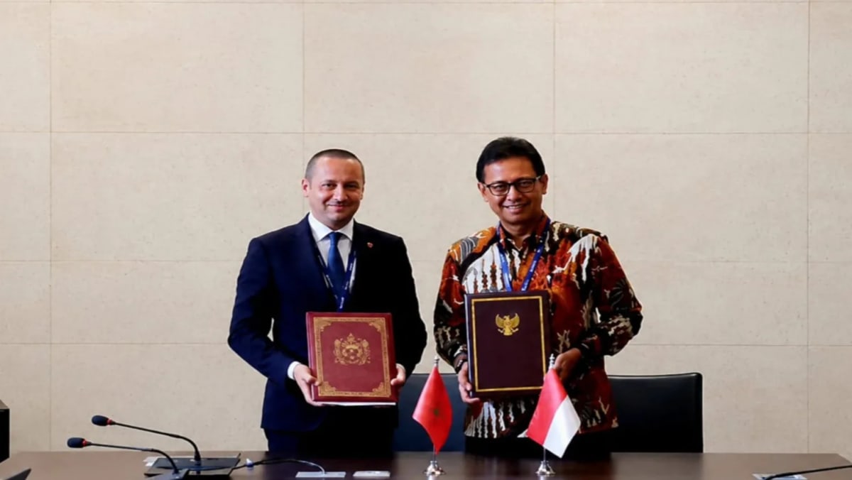 Morocco Signs 3 Health Deals at World Health Assembly