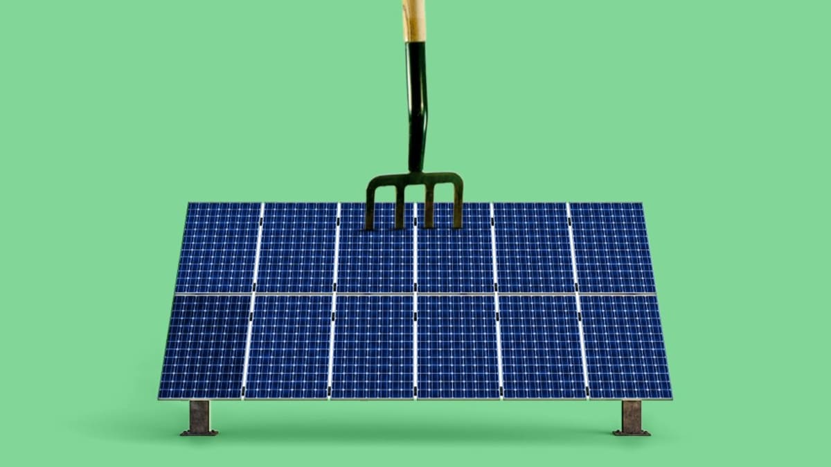 Texas Solar Set to Beat Coal for First Time in 2026 - Image 5