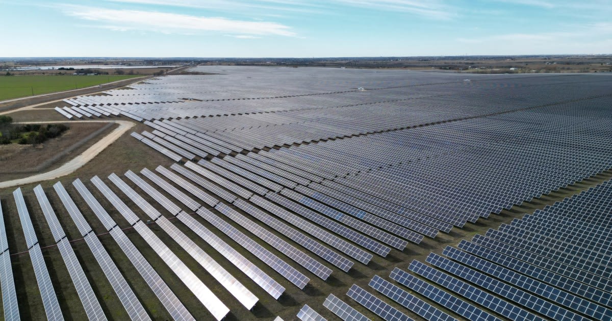 Rows of blue solar panels stretching across open Texas landscape under bright sunshine