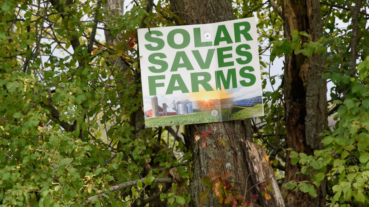 Illinois Puts 44MW of Solar on Storage Unit Rooftops - Image 3