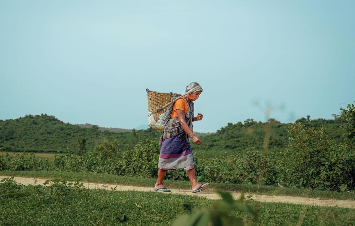 Bangladesh Gives 37,000 Women $20 Monthly to Fight Poverty