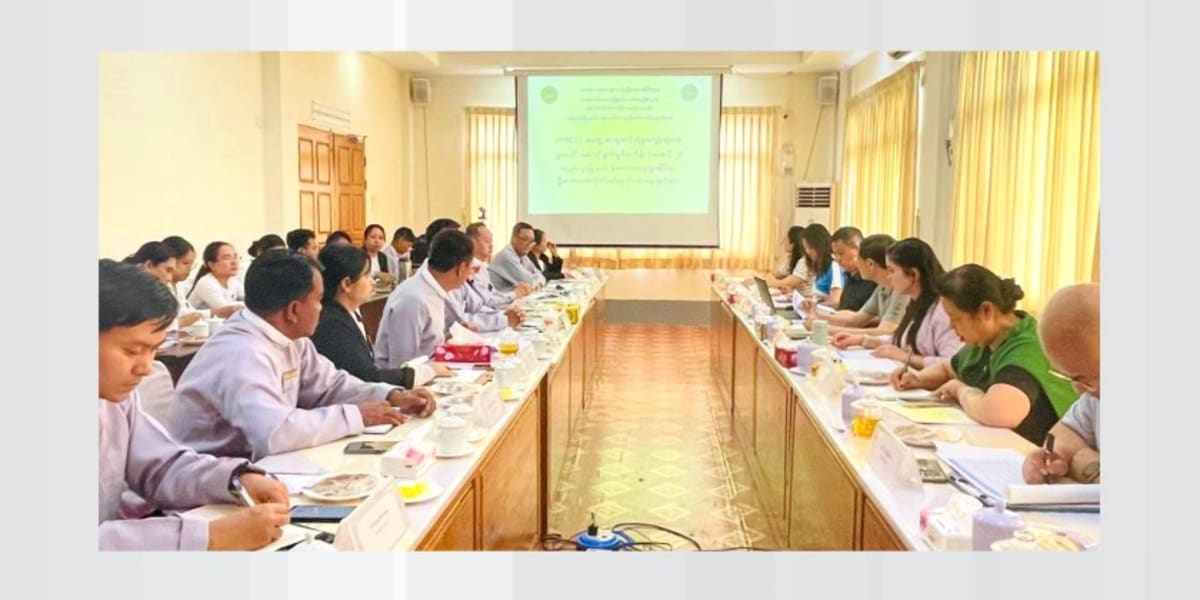 China-Myanmar Project Tackles Rural Poverty in Yangon - Image 5
