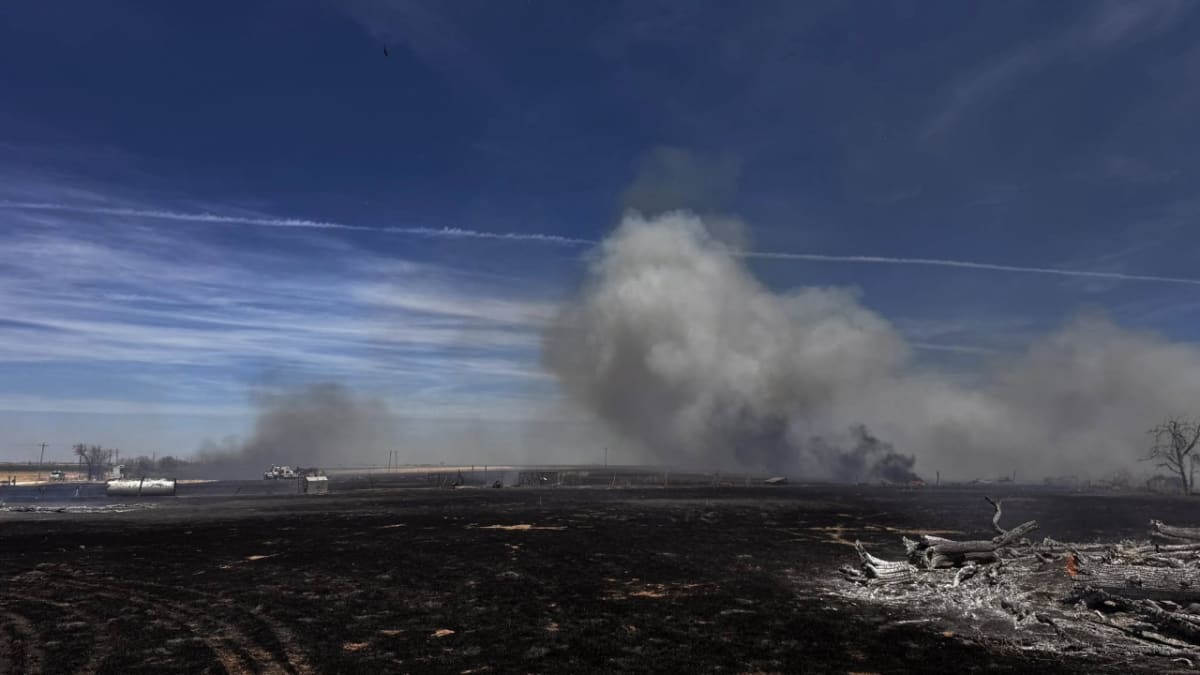 Texas Firefighters Save Two Homes From Multi-Acre Blaze - Image 3