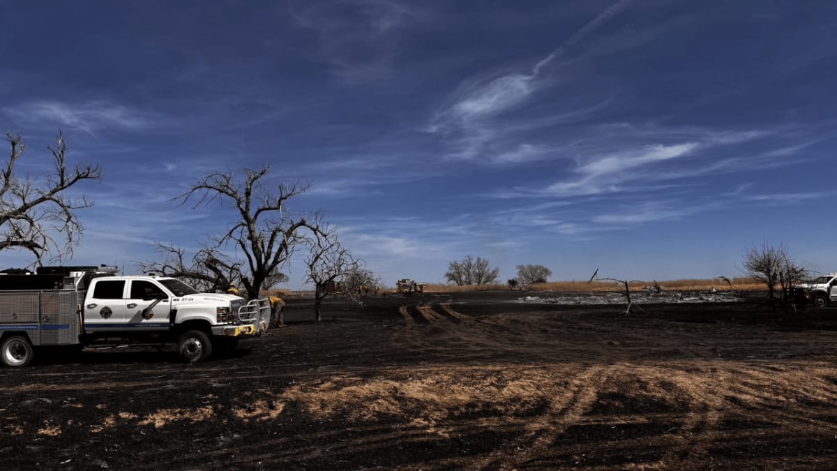Texas Firefighters Save Two Homes From Multi-Acre Blaze - Image 4