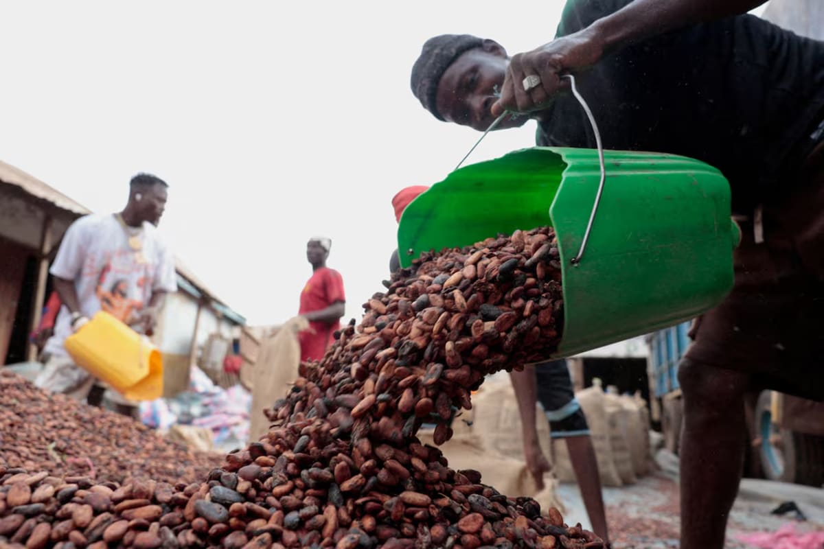 Police officers training at new anti-trafficking unit in Ghana's cocoa farming region