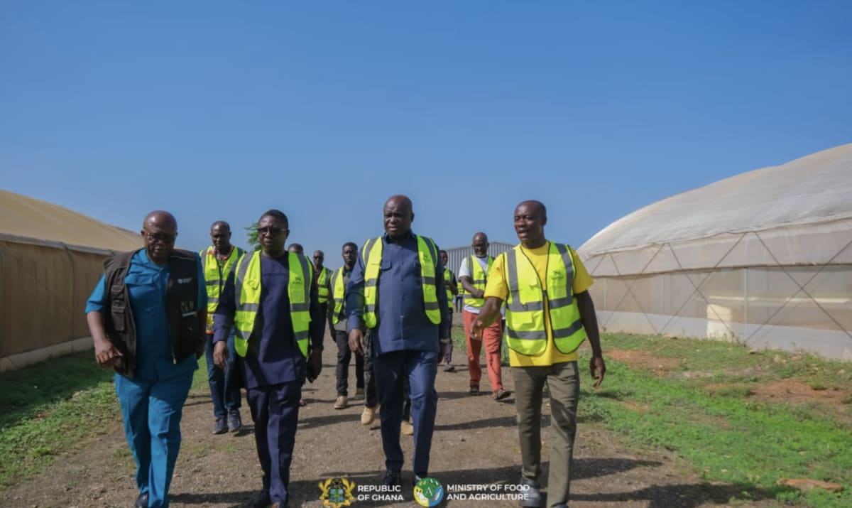 Ghana Farm to Supply 3,000 Tonnes of Tomatoes This Year