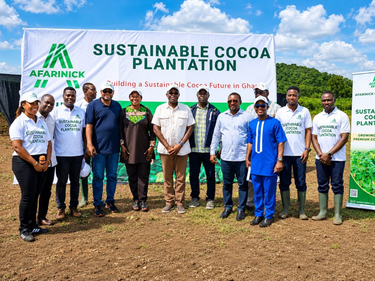 Ghana Company Gives 400K Cocoa Seedlings to Farmers Free