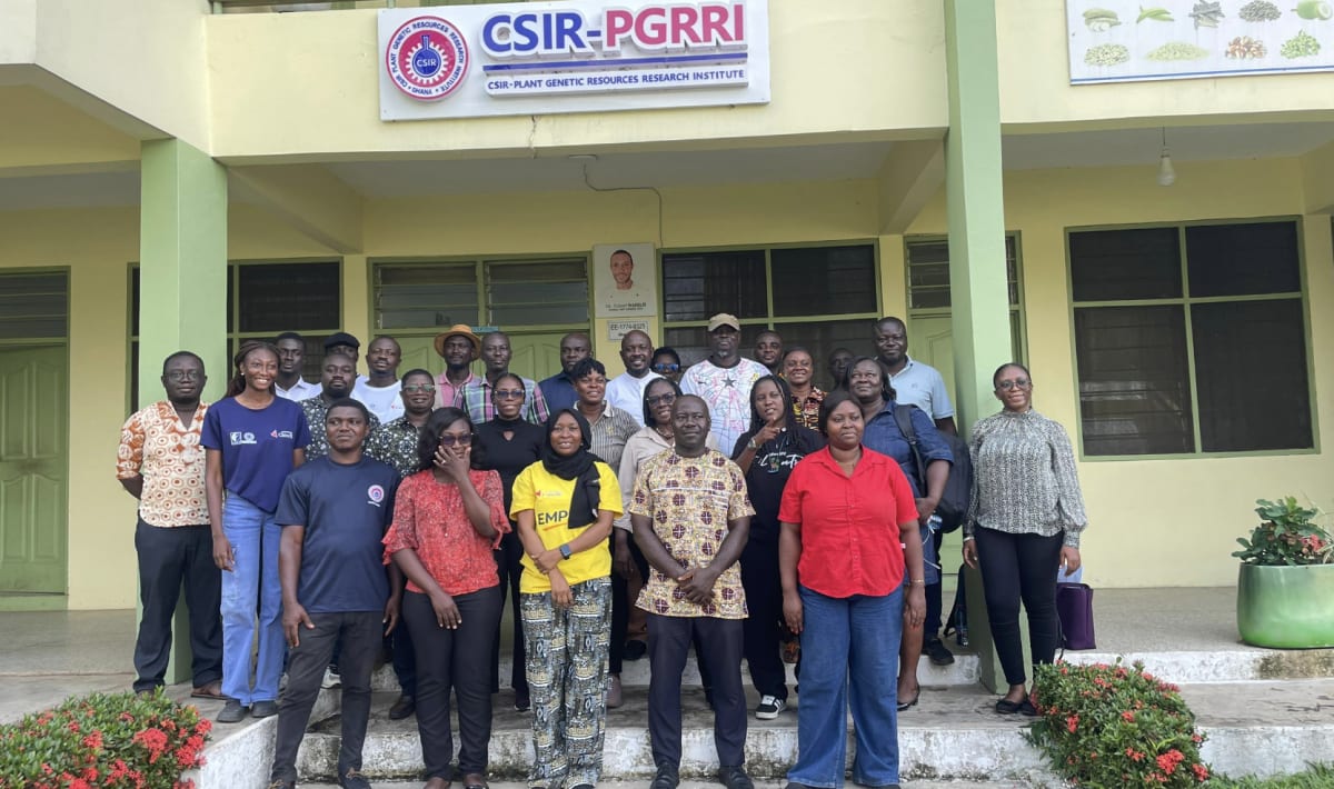 Scientists tending to young trees at Ghana's threatened species gene bank in Bunso