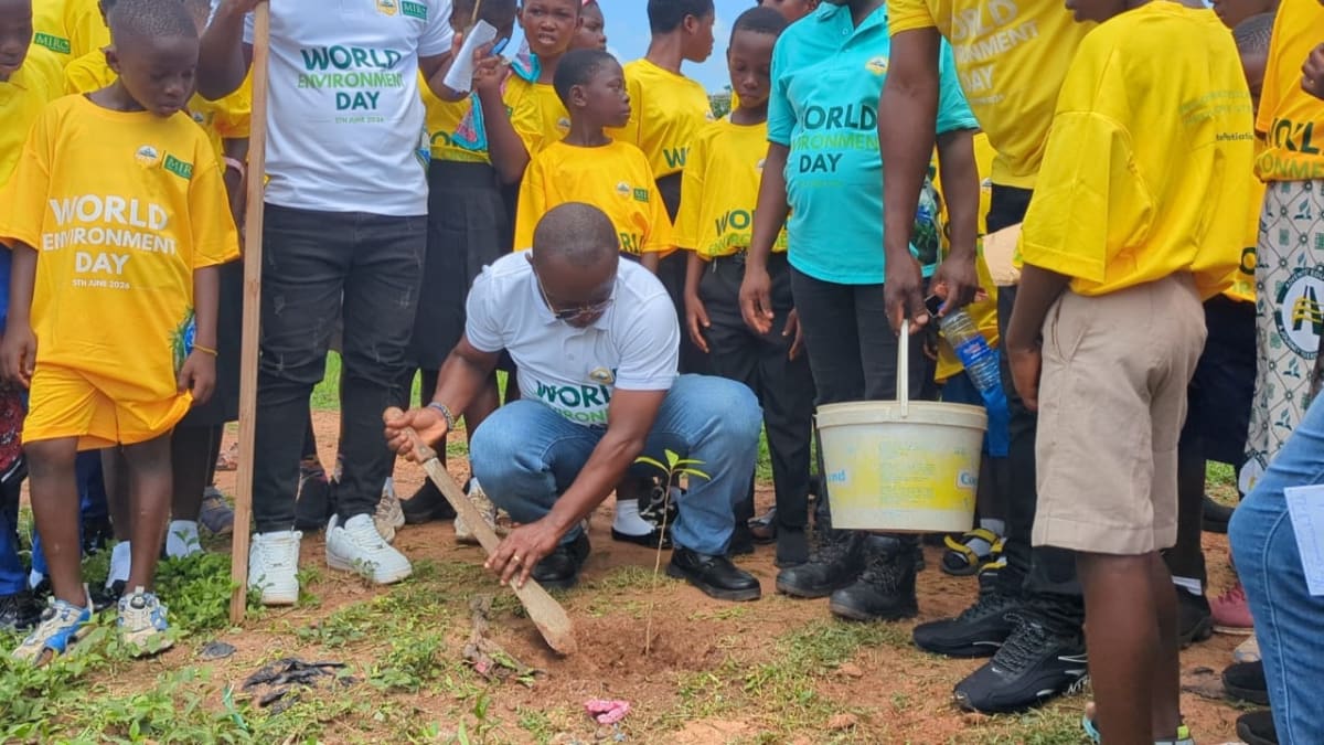 Schoolchildren and community members plant tree seedlings together in Drobonso, Ghana during World Environment Day
