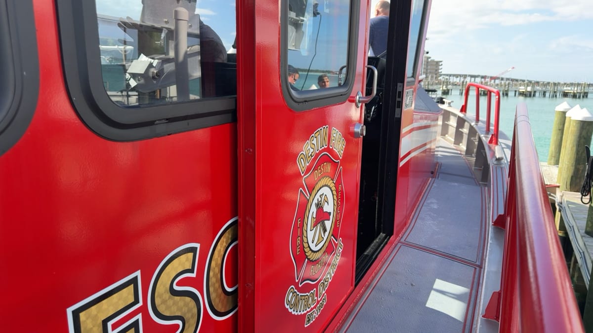 Romeo the Manatee Breaks Record at 71 Years Old - Image 4